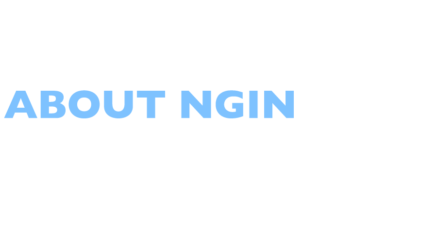 NGIN About Us
